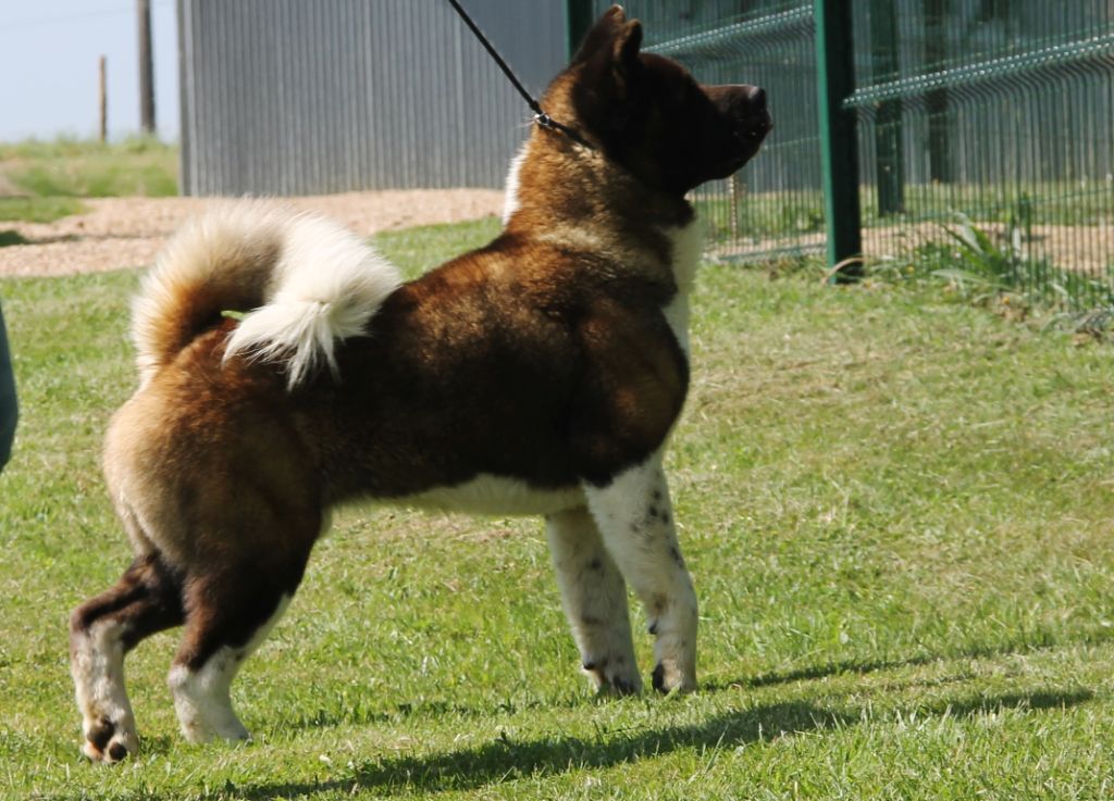 vladyka moskovii Celebrated persona