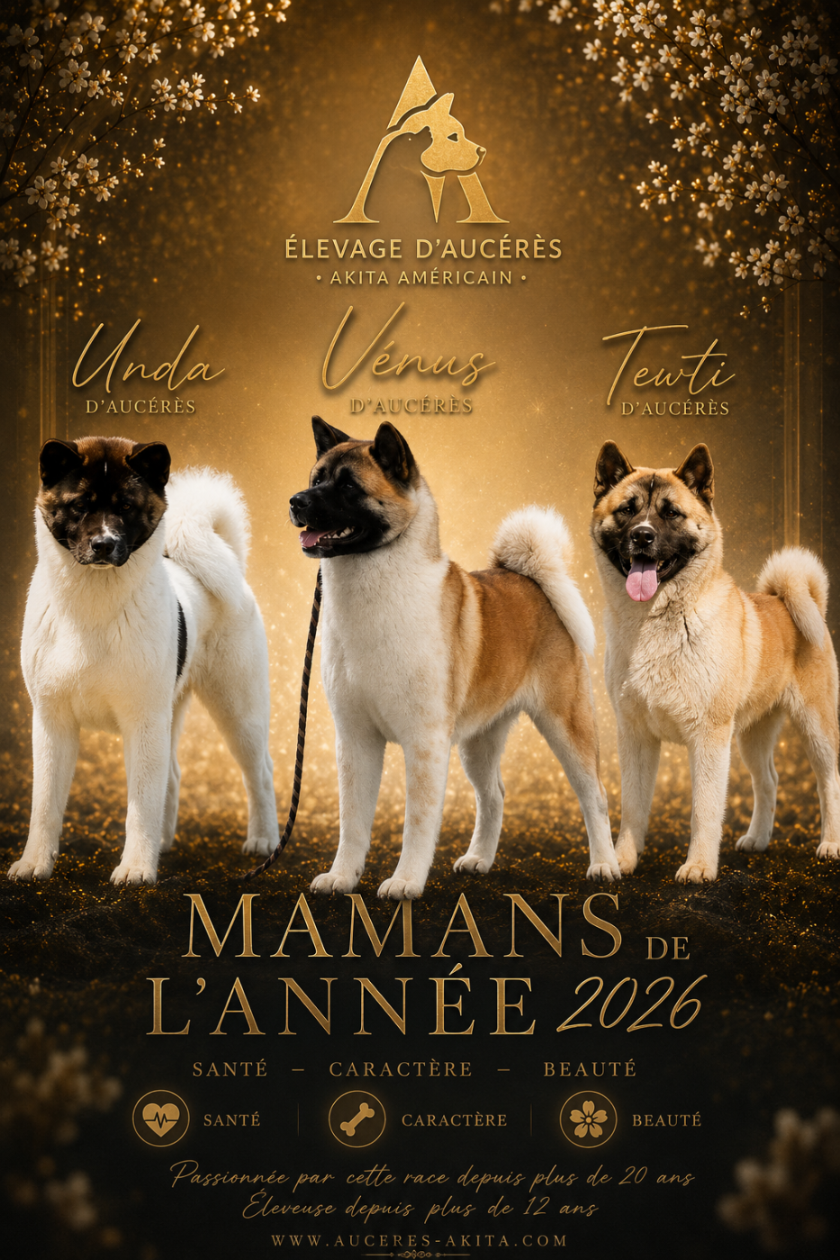 Les mamans 2026